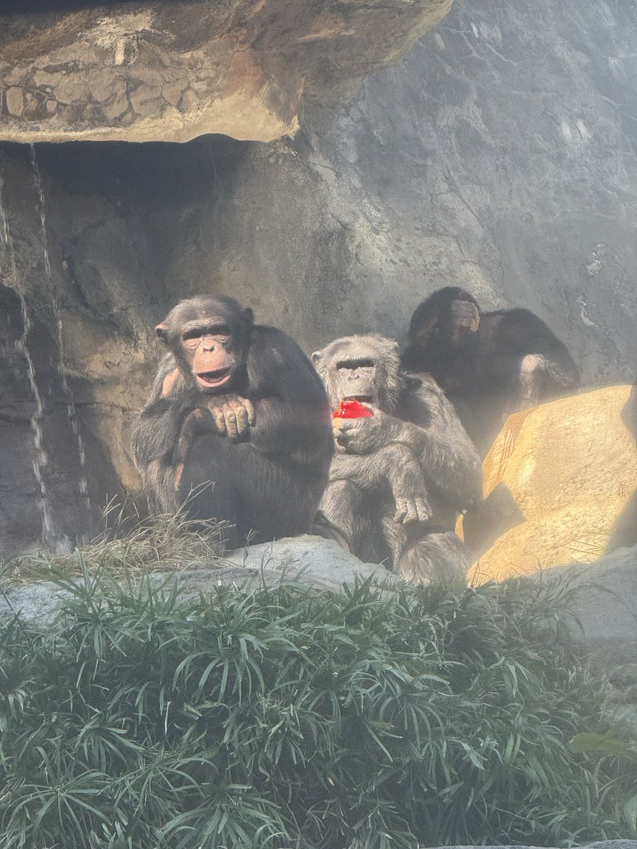 Oliver looking like a damn animatronic in this lighting