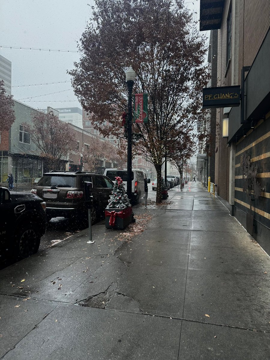 Chasingmytail's tweet image. Snow tranquility