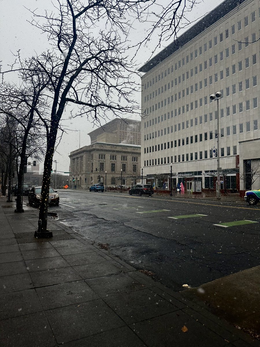 Chasingmytail's tweet image. Snow tranquility