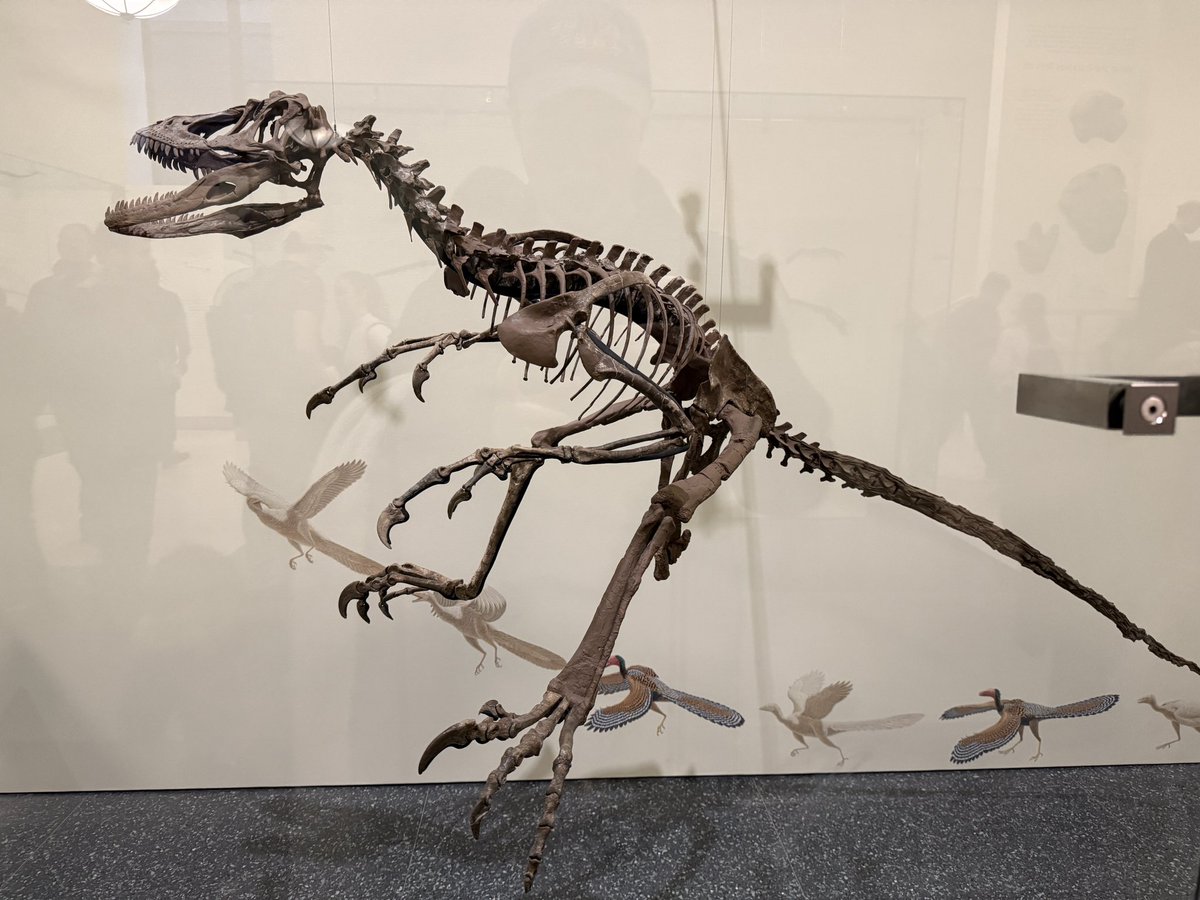 ForgeLabs's tweet photo. Had to see one of the things that’s been giving us trouble in #LostWorldSMP in person today… https://t.co/OQ799wUPPL