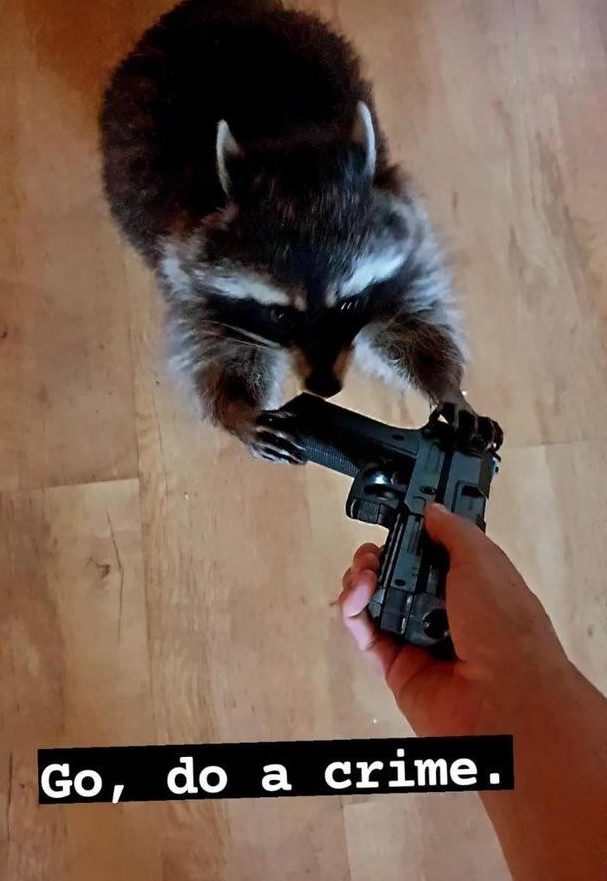 CubeEnvironment is in the hands of lighters now