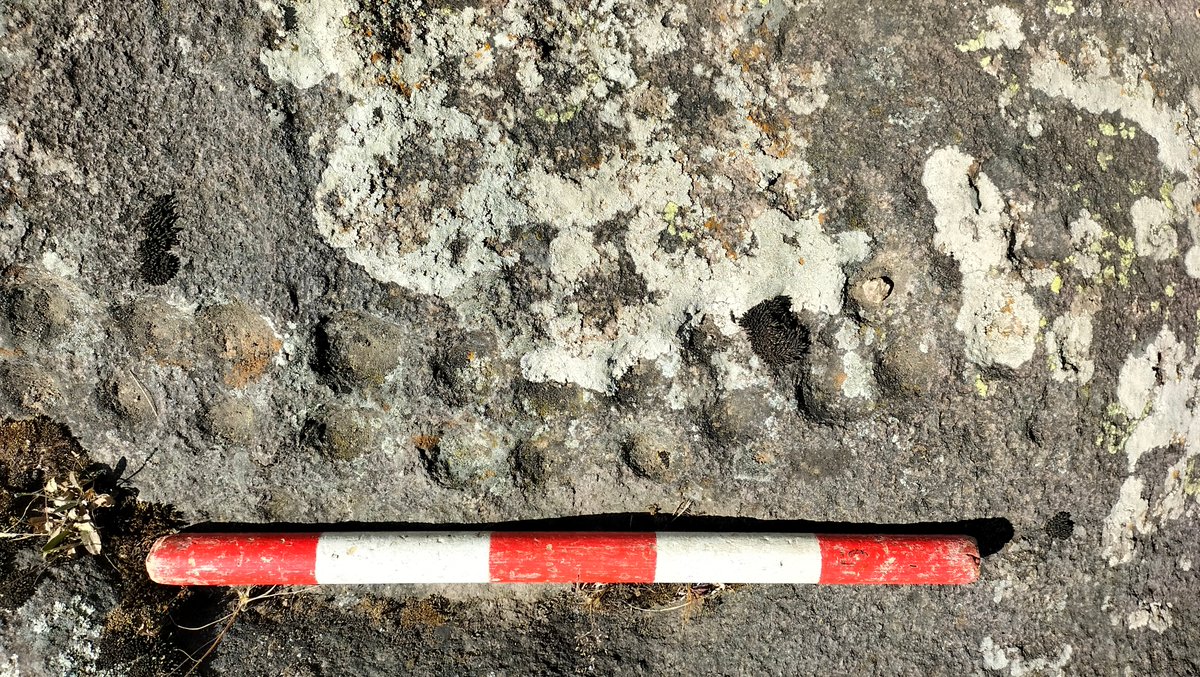 GuerraenlaUni's tweet image. En el yacimiento que excavamos en el centro de Etiopía hemos efectuado un hallazgo fascinante: una mancala grabada en la roca. Este juego se sigue practicando en el país. Pero el que hemos descubierto tiene al menos siete siglos. Y esconde una historia trágica:-&amp;gt;