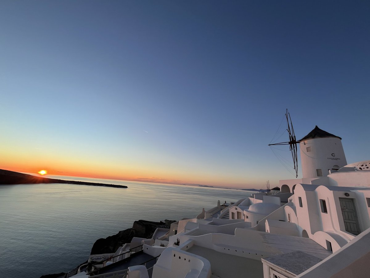 Cantonese Cat 🐱🐈 tweet media