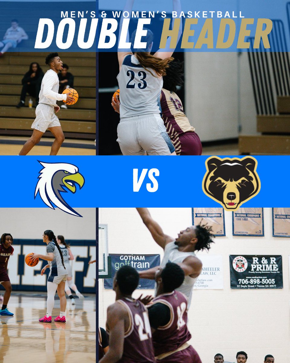 Toccoa Falls Men's Basketball tweet media