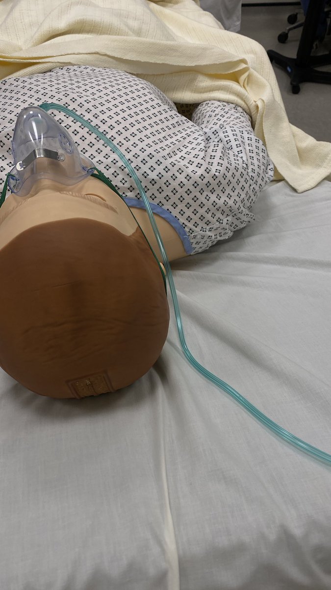 Areej ꪆ𝜚 tweet media