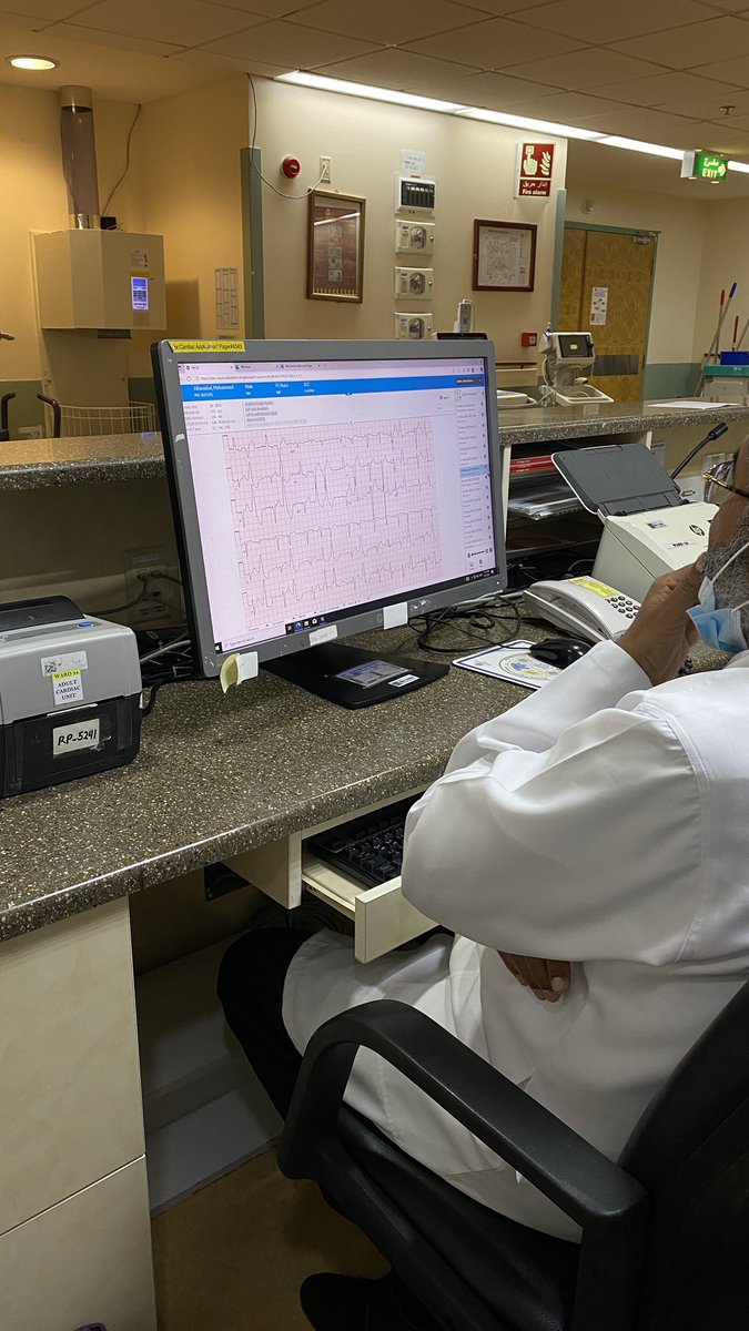 Areej ꪆ𝜚 tweet media