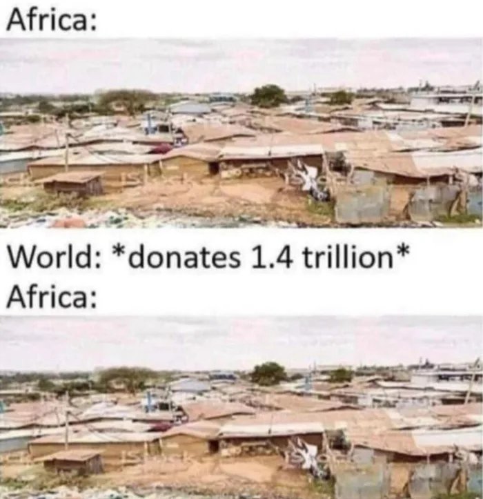 one day I'm a penguin ...🐧 tweet media