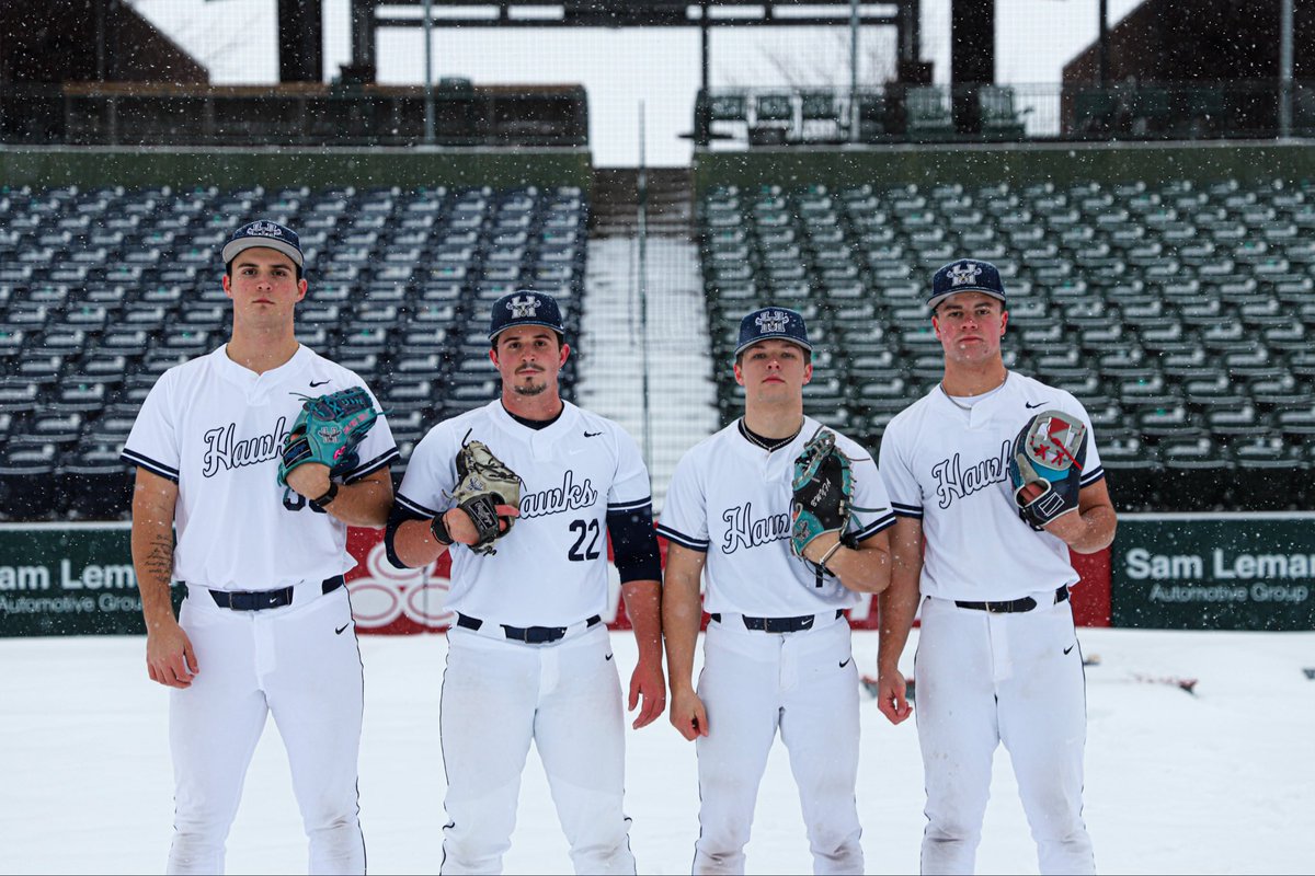 Heartland Baseball tweet media