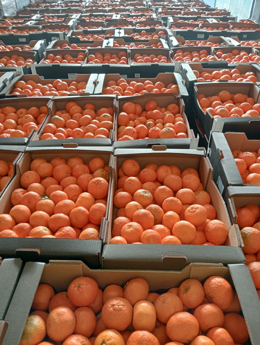 🔹A lo largo de estas semanas que tenemos por delante, repartidemos entre nuestras entidades colaboradoras 42.616 KG de verduras | Alimentos frescos de temporada que proceden del Fondo Gallego de Garantía Agraria 🔹

🍊 21.163 Kg clementina
🍅 18.487 Kg tomate
🥒 2.966 Kg pepino