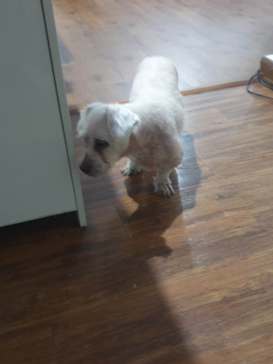 Iman Baik tweet media