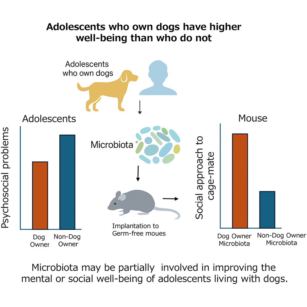 Cell Press tweet media