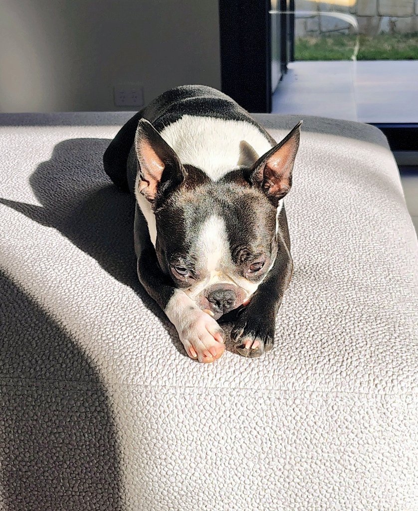 Kisasszony si už našla miesto aj novom dome.