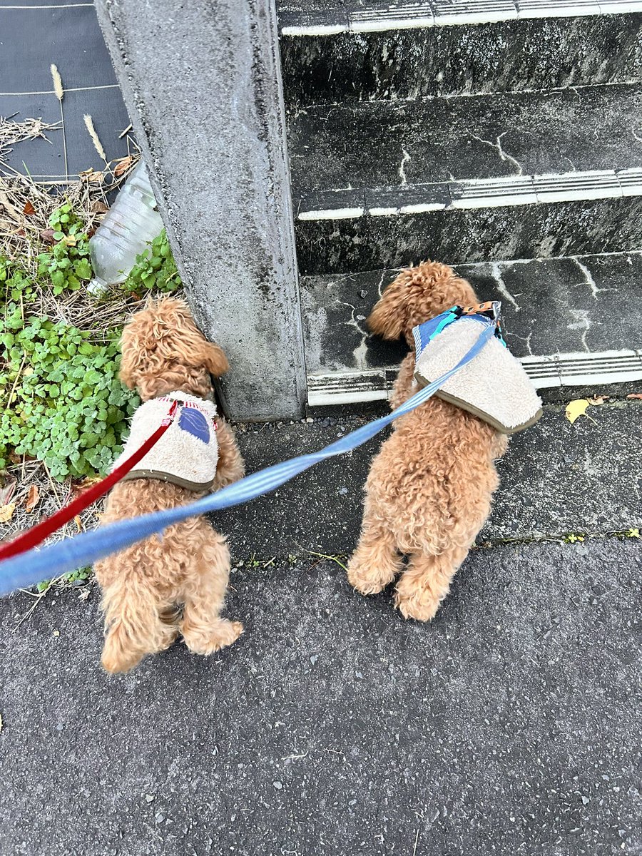 ◆かずちゃんページ◆ かずちゃん (@kazu13chan) / Posts / X