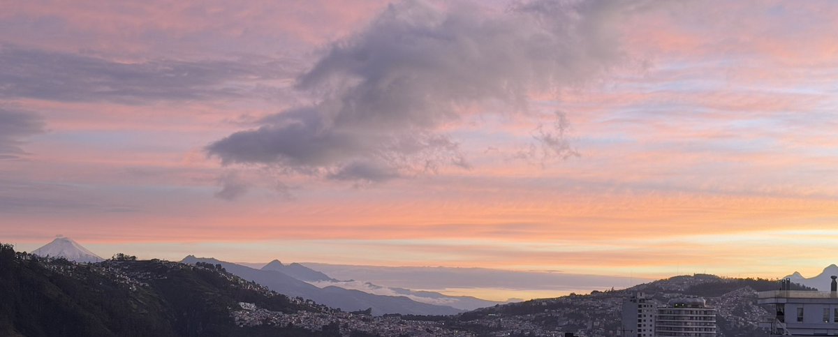 Roque Sevilla tweet media