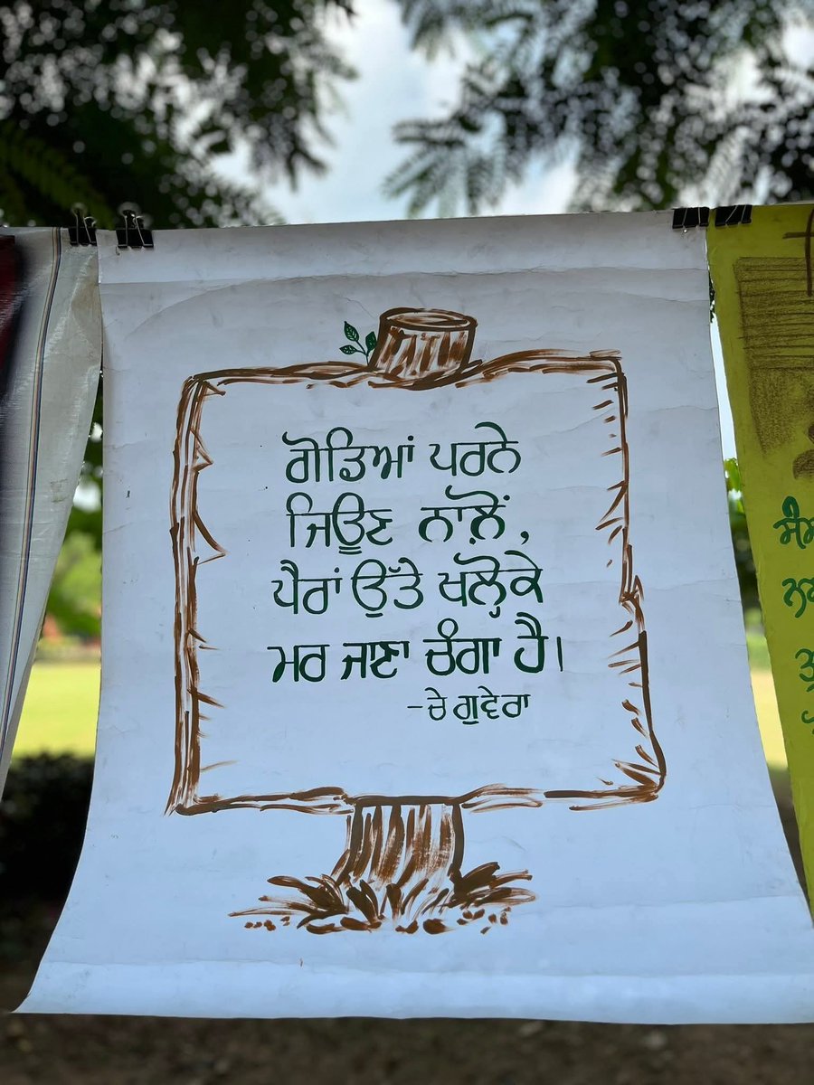 Drop the most recent pic in your Gallery with no explanation.