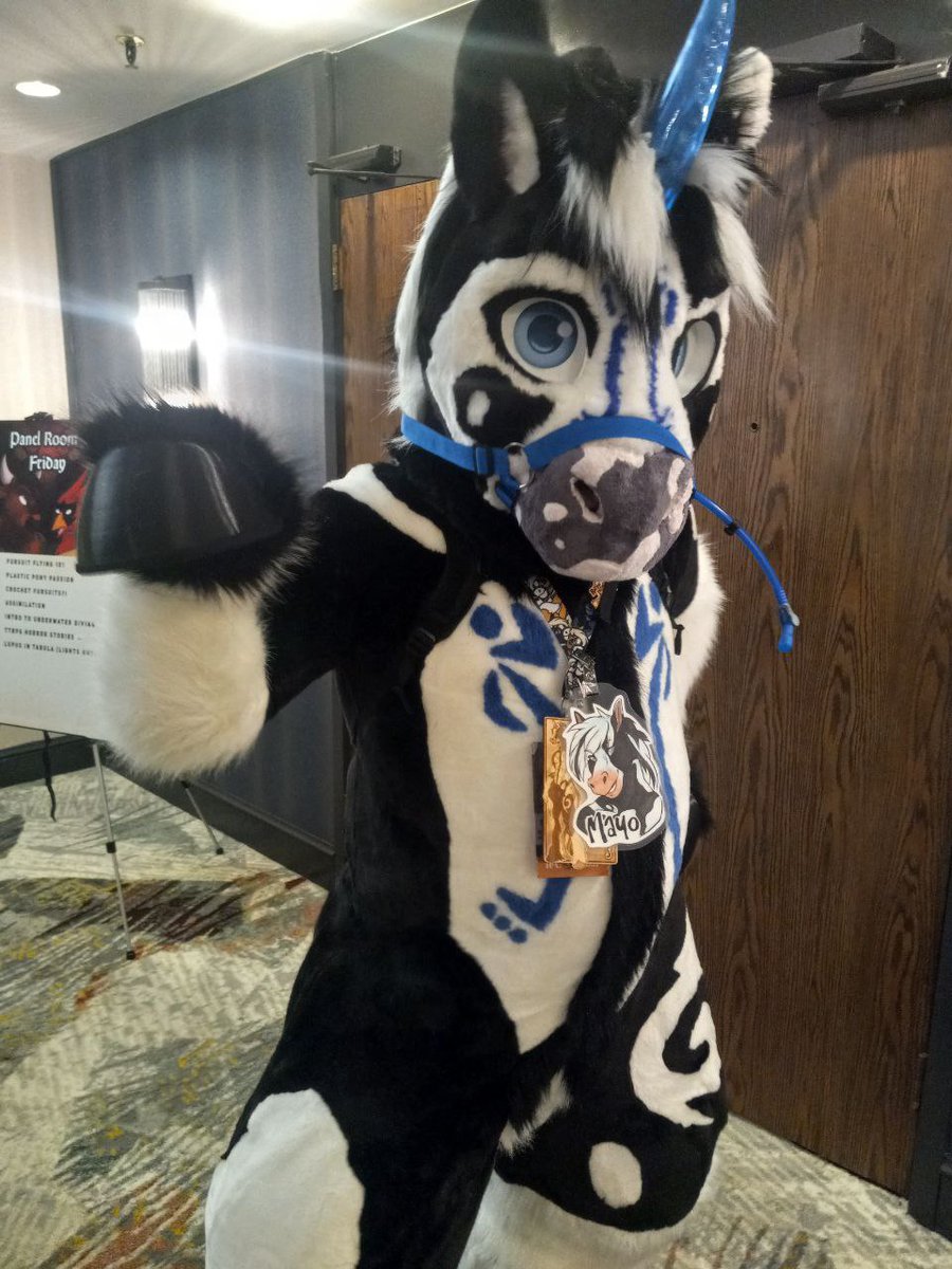 Come say hi to hins at mff! I always love hugs and new people saying hello!