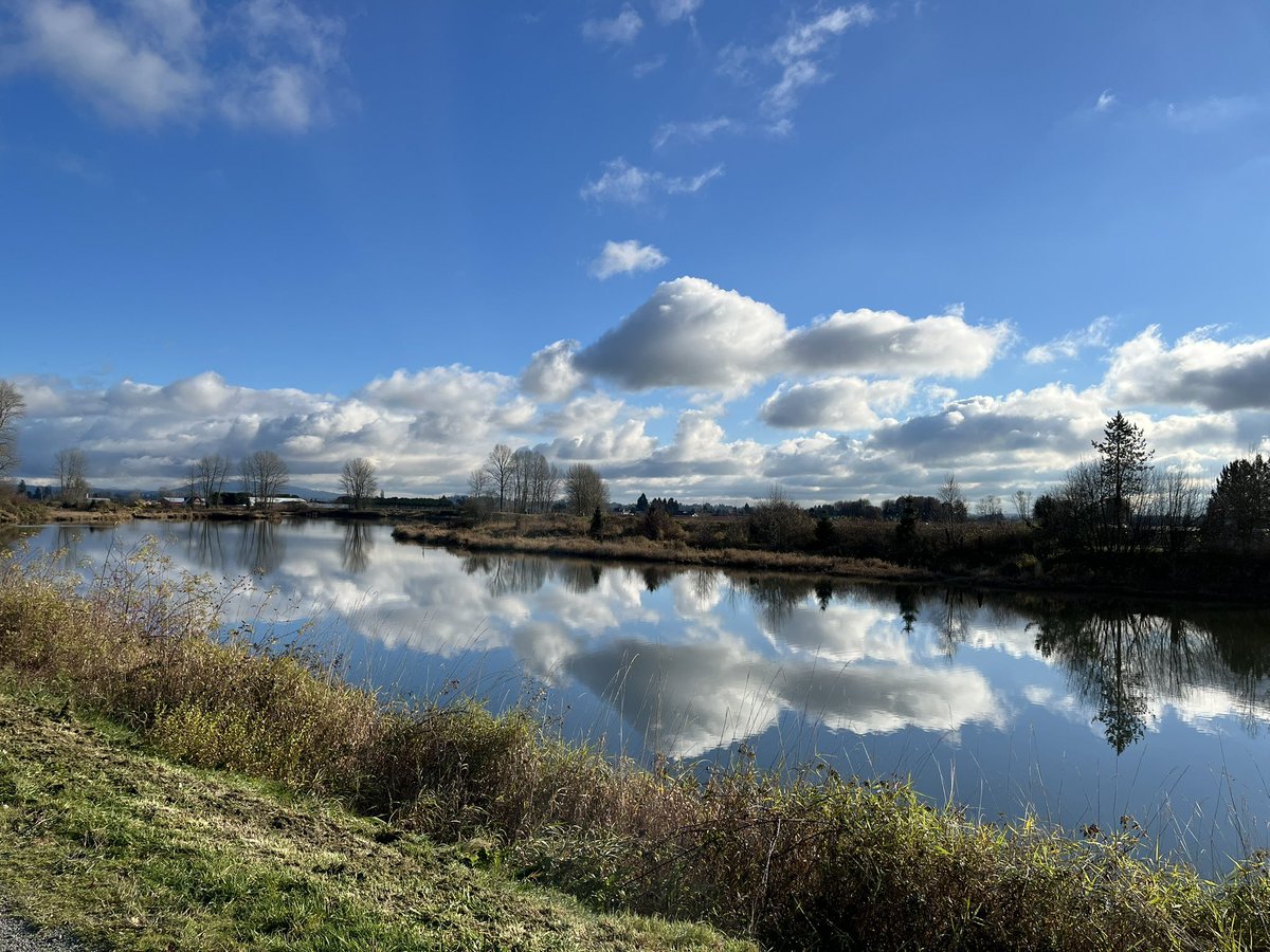 Another great day in the neighborhood <a href="/citypittmeadows/">City of Pitt Meadows</a> 
#ShareYourWeather