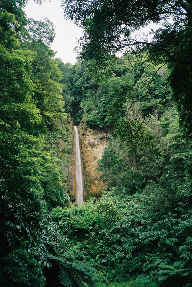 odegaardist's tweet image. Some old film shots I never got to share before, hope they reach the right audience (Azores 2023)