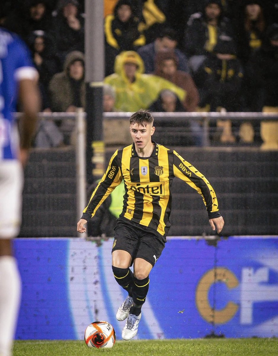 Pedro Figueredo tweet media