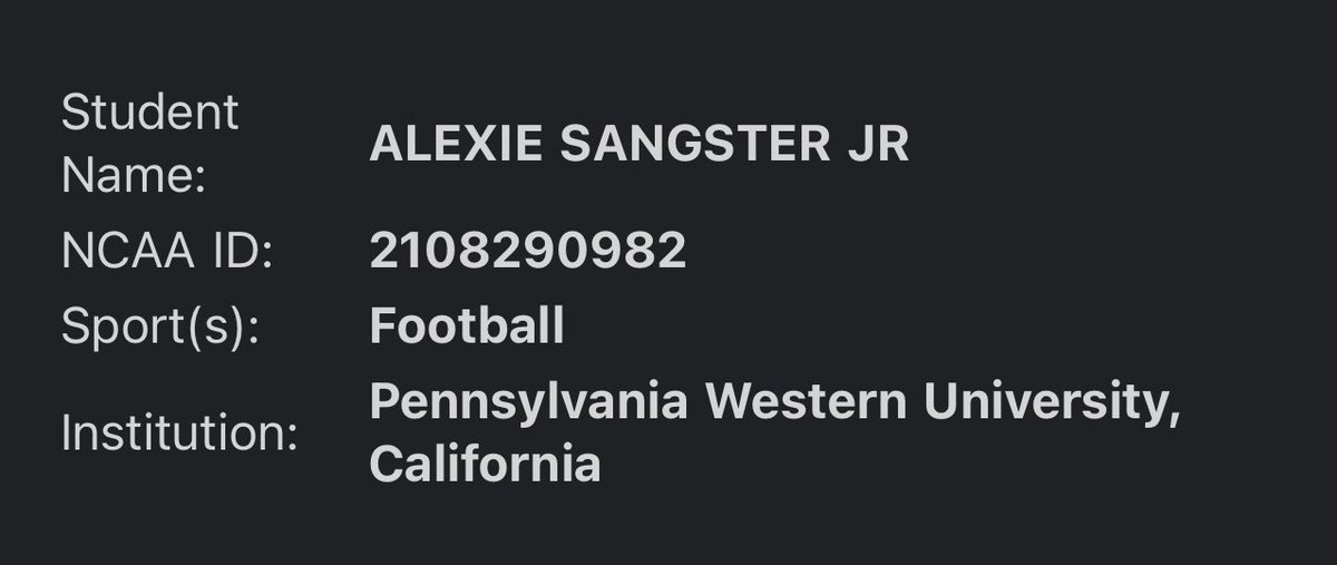 ʟᴇx sᴀɴɢsᴛᴇʀ ᴊʀ tweet media