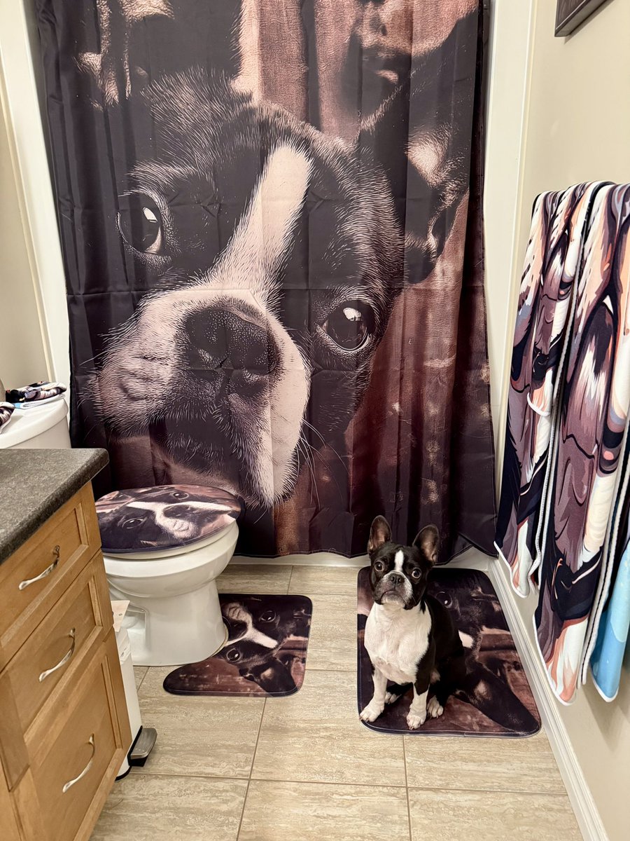 TheRodyssey's tweet photo. Can you spot the Boston? ππ
I redecorated Ashleyβs bathroom while she was at work πΆππΌπ― #BostonTerriers https://t.co/Ves1zITXhI