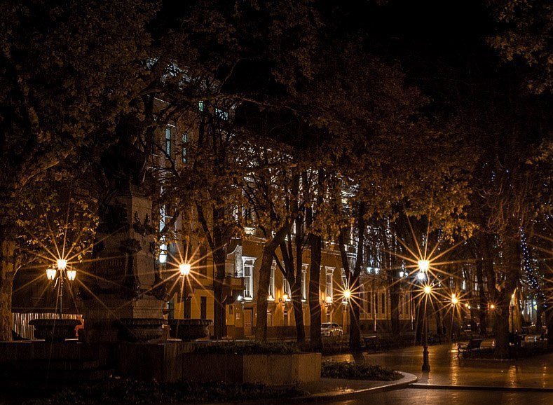 Катерина Галич tweet media