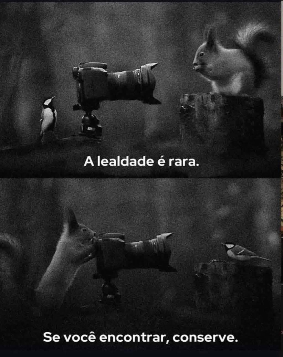 menorleguii's tweet image. Papo Reto.