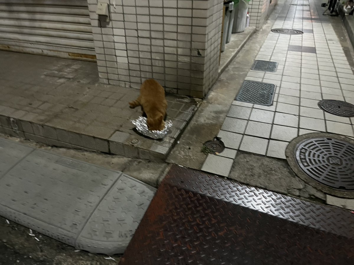 ちのりんパパ りんパパ2022NUEVO (@2022NUEVO1) / Posts / X