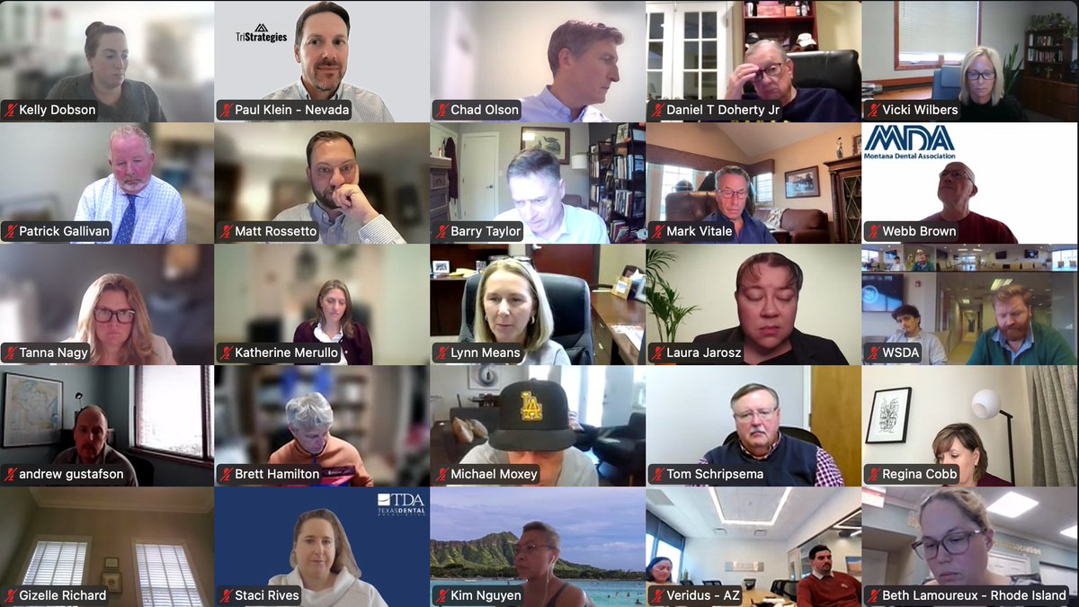 The American Dental Association’s 2025 Lobbyist Conference is underway virtually this year—150 video squares resembling the most intense bingo game ever. The same mission every year: expand access to care for Americans. The team at TriStrat is proud to represent Nevada’s dentists