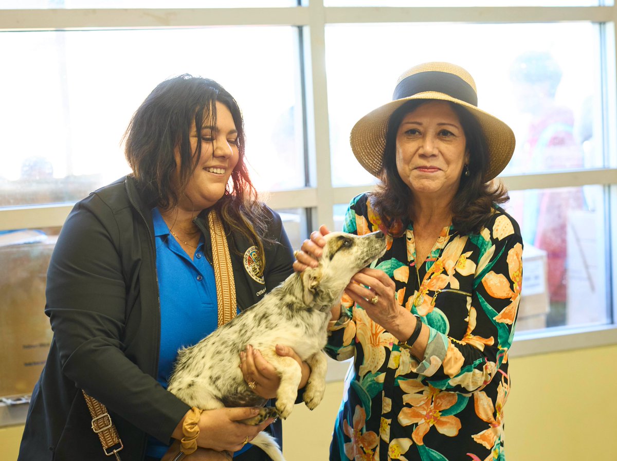 Michelson Found Animals tweet media