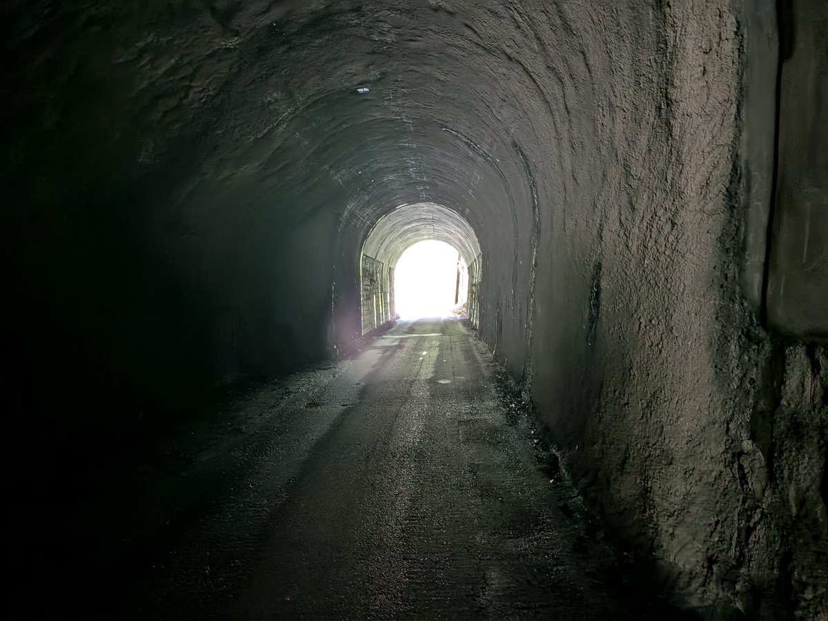 大凶姐さん ☕ tweet media