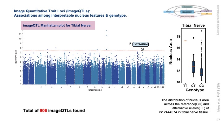 Mark Gerstein tweet media