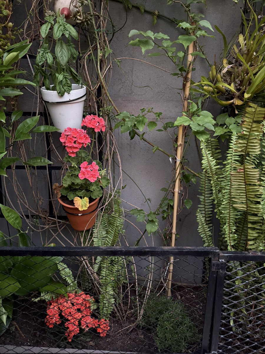 Para tranquilidad de todos les cuento que me prendió la Santa Rita.