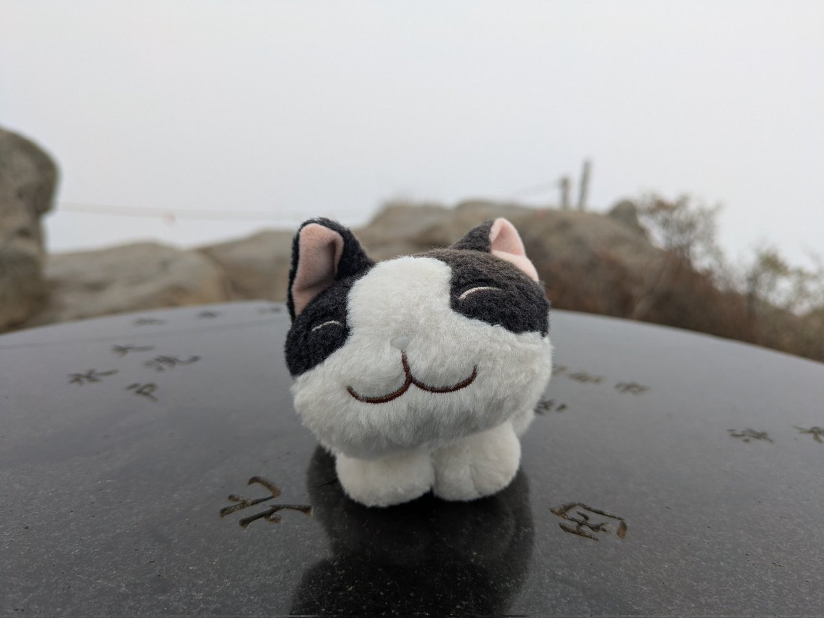 atomu_reo's tweet image. おはようございます😊　今夜は❄予報😅　まだタイヤ交換してないんだけどなぁ