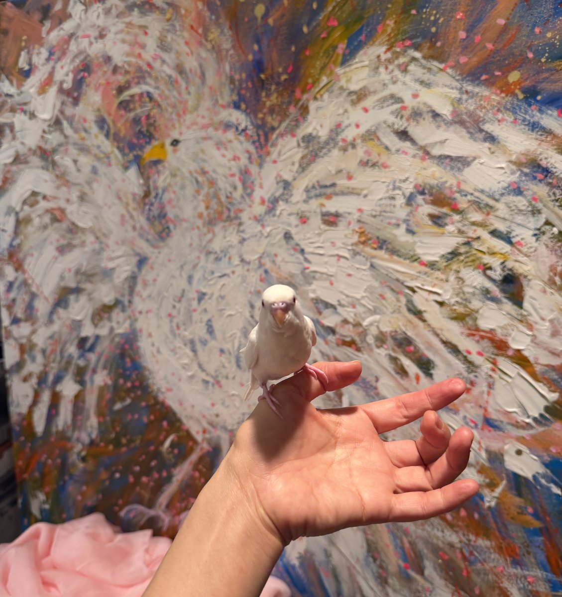 西村麻里🐲にしまり (@nanamari1025) / Posts / X