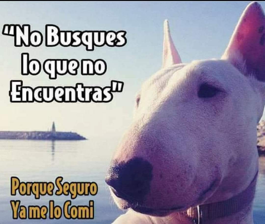 Angelito (@korbensillo) on Twitter photo 