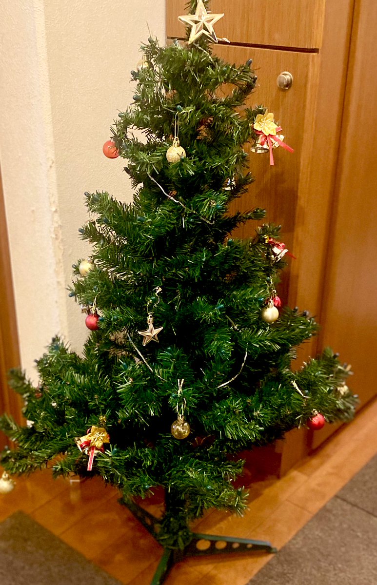 ハチ (@happy_pawsome) / Posts / X