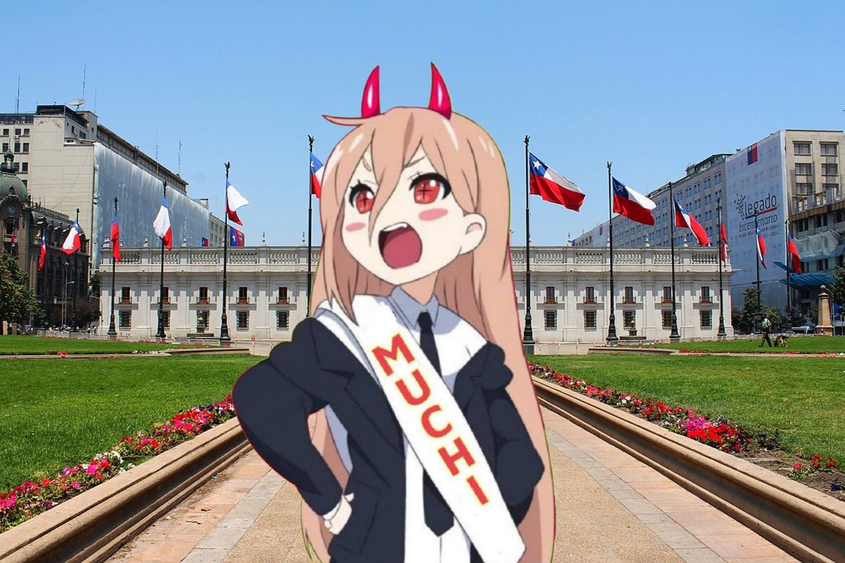 MuchiMuchi tweet media