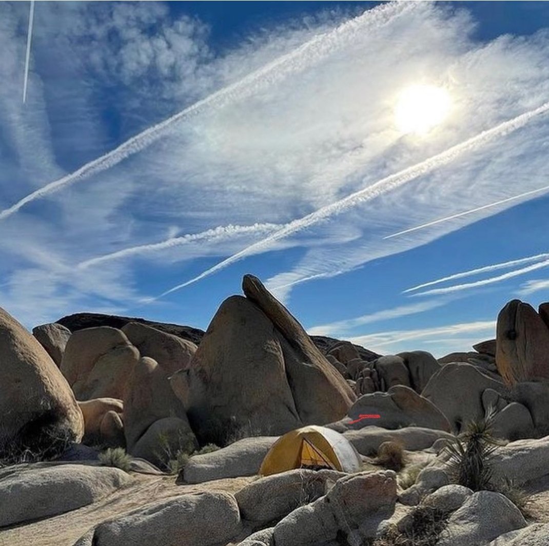 Joshua Tree National Park, California, USA 🇺🇸

The outdoor life.. nothing beats getting some fresh air ☠
