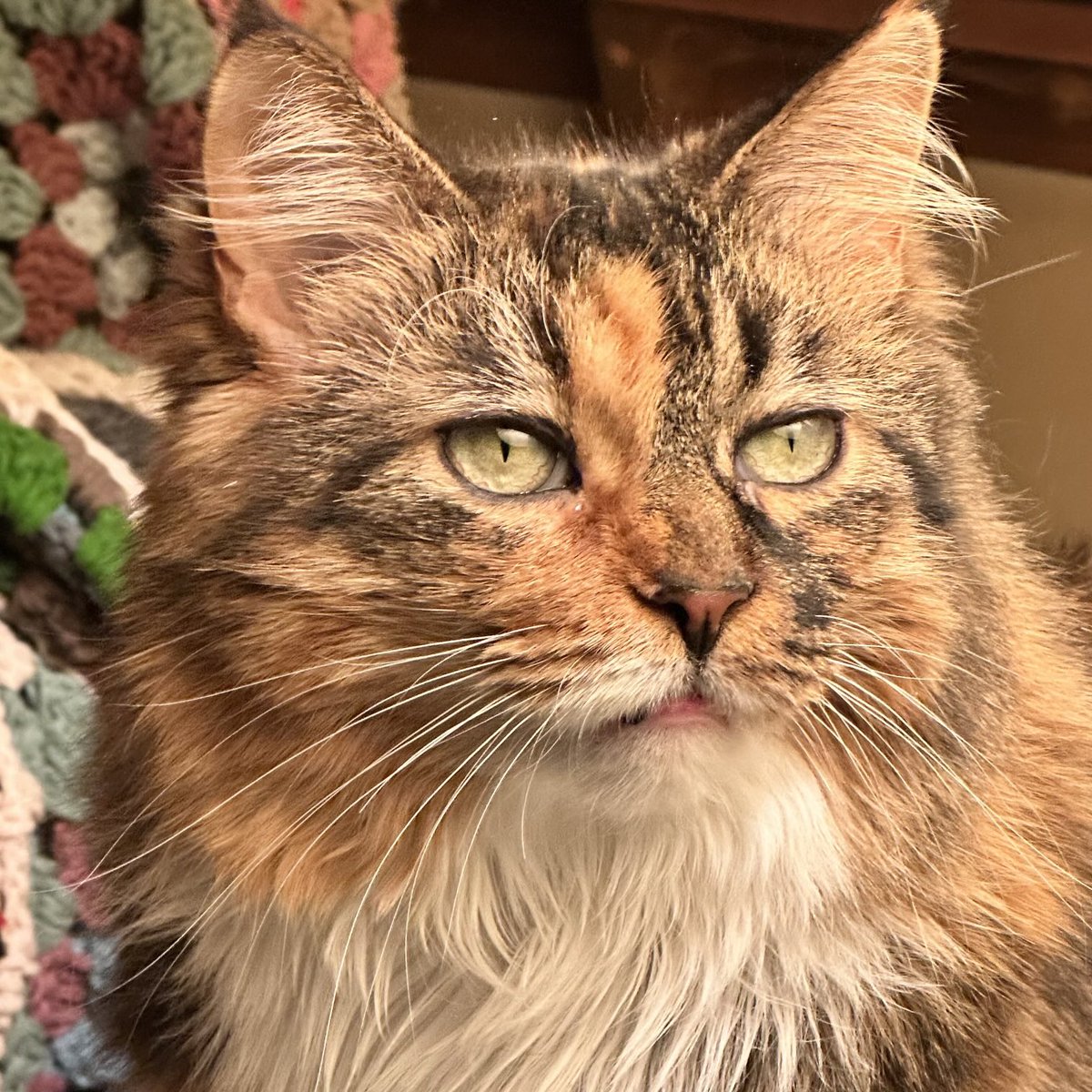 Buddy 🌈 & Teddy B 🌈 tweet media