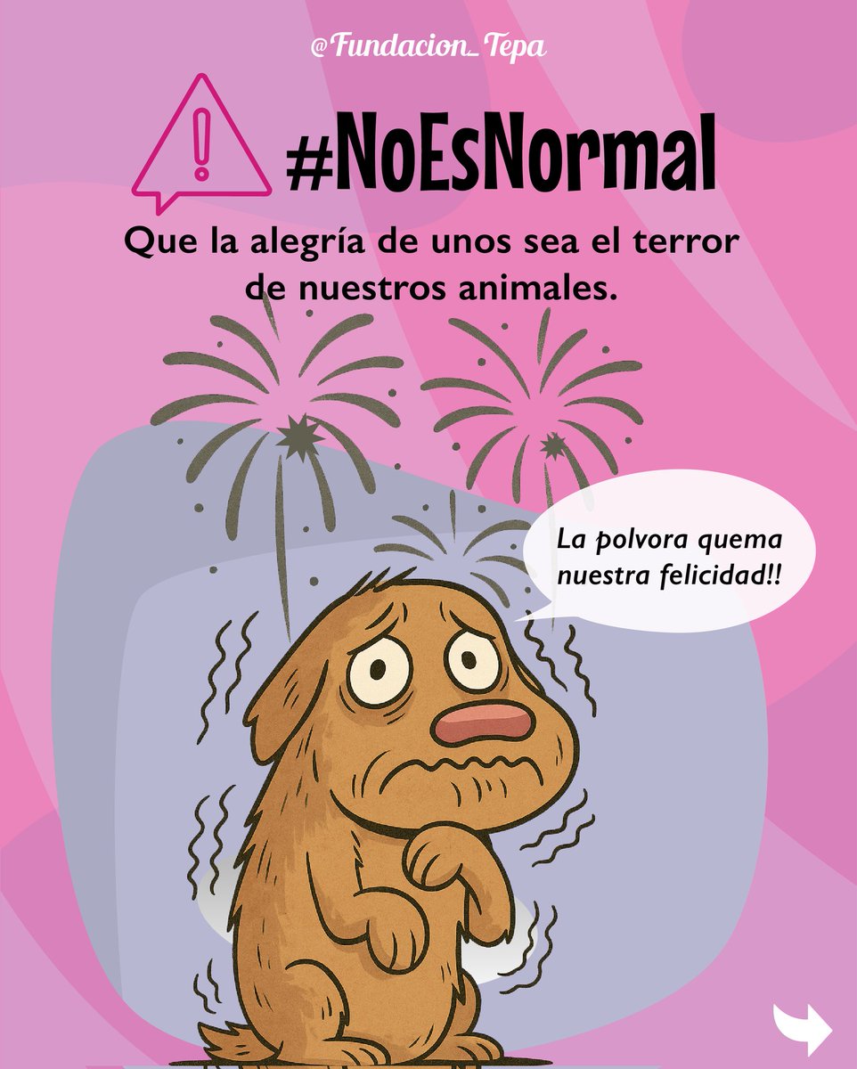 Trabajando En Pro De Los Animales. tweet media