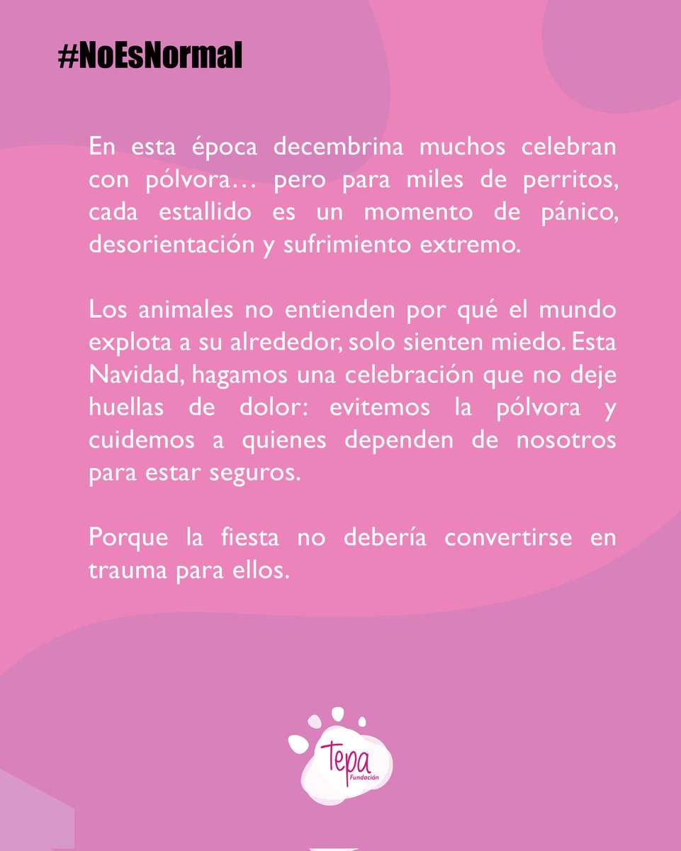 Trabajando En Pro De Los Animales. tweet media