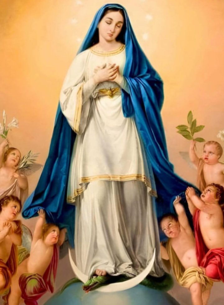 Estamos en la novena a La  Inmaculada Concepción Virgen María ruega por nosotros Amén #bbtvi ##sstvi #brunardo