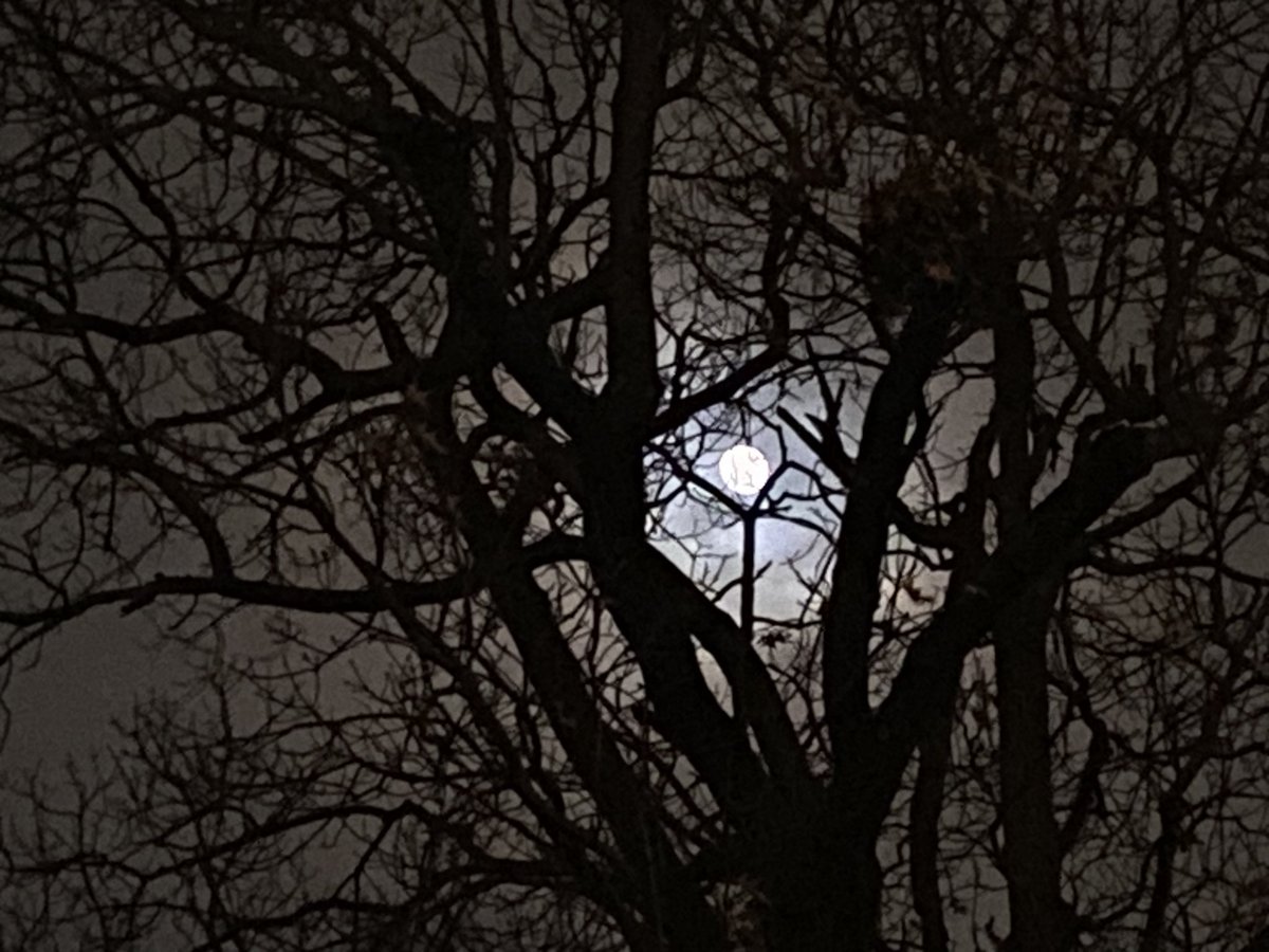 Mel0dyK3y's tweet photo. Tried my best! Wished the moon was clearer but it’s okiiiii
Made my brother wait for a min in the car for this shot hehe 🤭
#fuutography https://t.co/u9Sk6Nc6VD