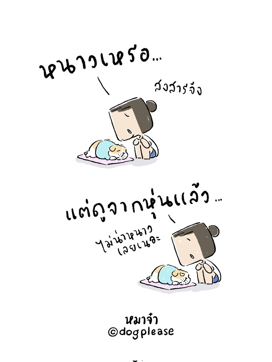 หมาจ๋า (@dogplease2013) on Twitter photo 