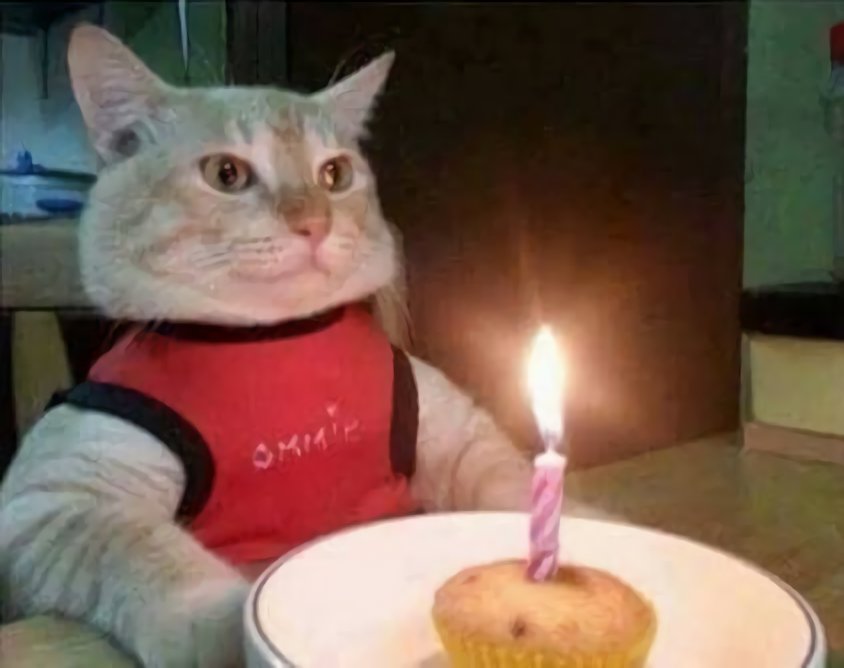 BastiSpanish2 tweet media