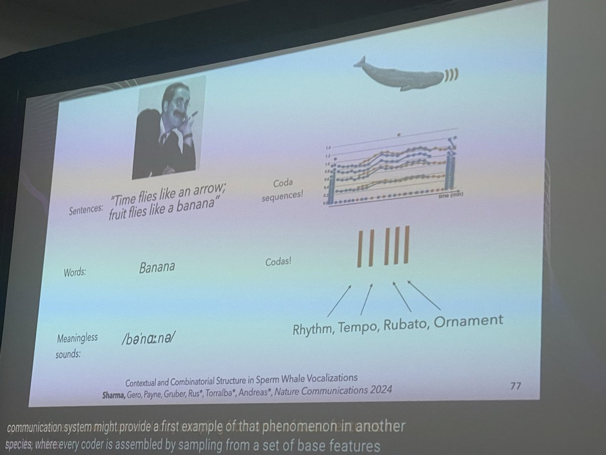 NewInML @ NeurIPS 2025 tweet media