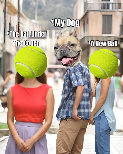 Bethany Rae tweet media