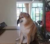 loading_all's tweet image. waitming for cheemillions