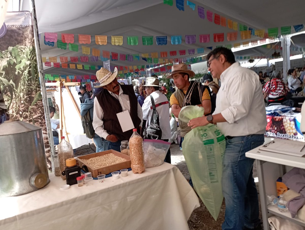 🌽 #CIMMYT participó en la Feria de la Agrobiodiversidad 2025 en #Oaxaca.

Se compartieron experiencias sobre:
🌾 Diversidad de maíces nativos
🫘 Manejo poscosecha y almacenamiento hermético

💡 Conocimiento práctico al servicio del campo oaxaqueño.

#MaícesNativos #Poscosecha